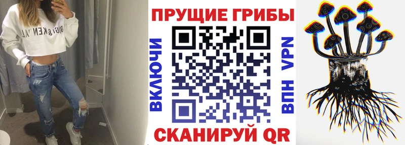 Псилоцибиновые грибы прущие грибы  закладка  Троицк 